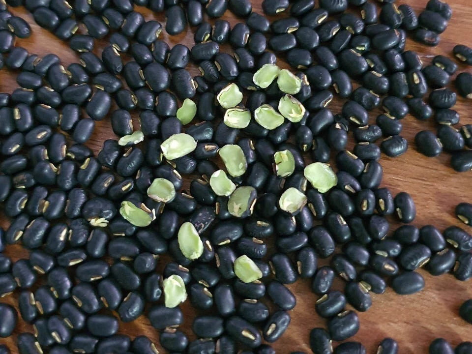 Black Beans - Đậu đen xanh lòng