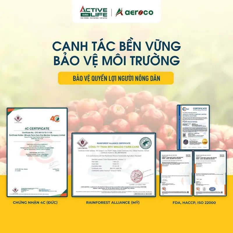 Cà phê Coldbrew túi lọc Nhật Bản tiện lợi