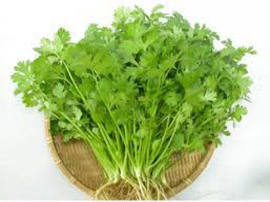 Hạt Rau Mùi Đại Địa đóng bao nhỏ 1kg x 20