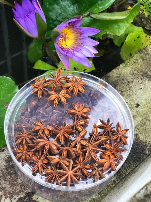 Hoa Hồi 100g x 50